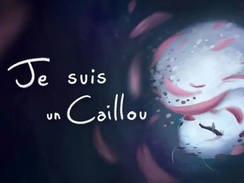 Affiche du court métrage Je suis un caillou